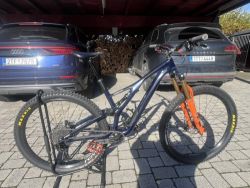 Specialized stumpjumper