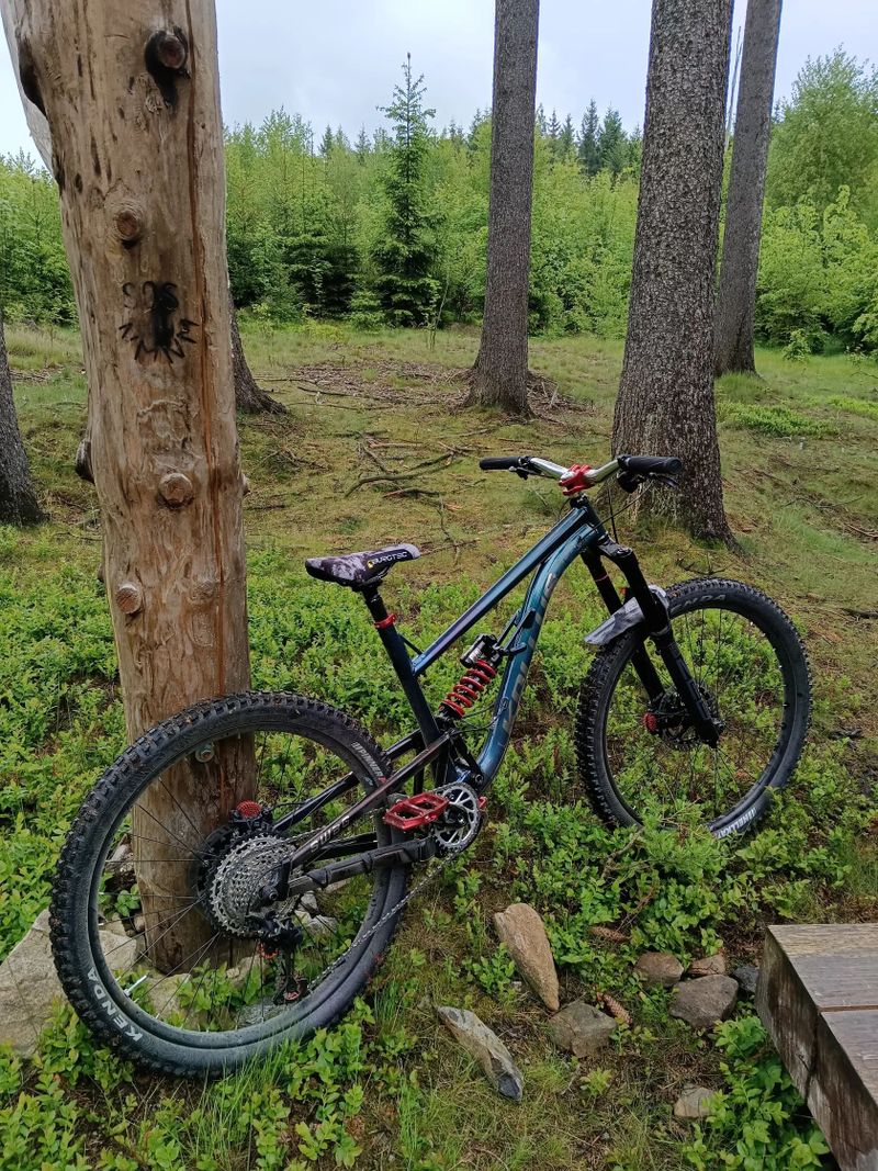 Kellys Swag 50 2025 custom