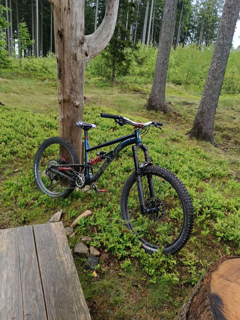 Kellys Swag 50 2025 custom