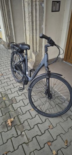 Leader Fox Induktora