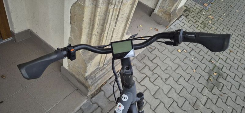 Leader Fox Induktora