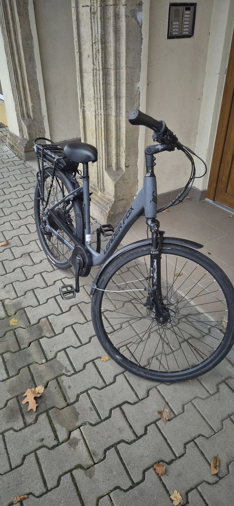 Leader Fox Induktora