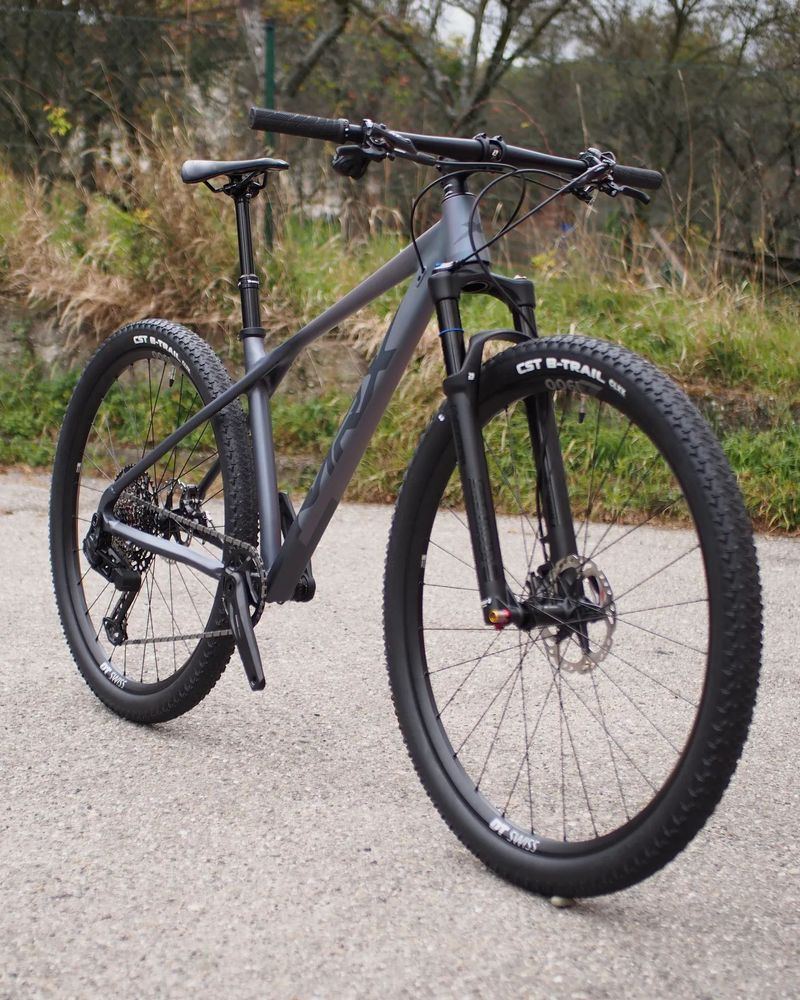 horské kolo 29" MRX ER25 SPOMB II AXS T-type vel. 17,5" stříbrný chameleon