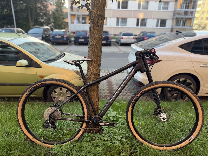Cannondale Lefty carbon 