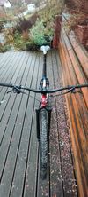 Ritchey P29 Team edition