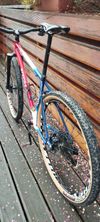 Ritchey P29 Team edition