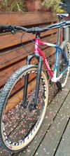 Ritchey P29 Team edition