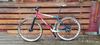 Ritchey P29 Team edition