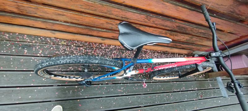 Ritchey P29 Team edition