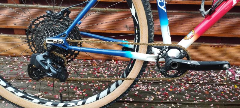 Ritchey P29 Team edition