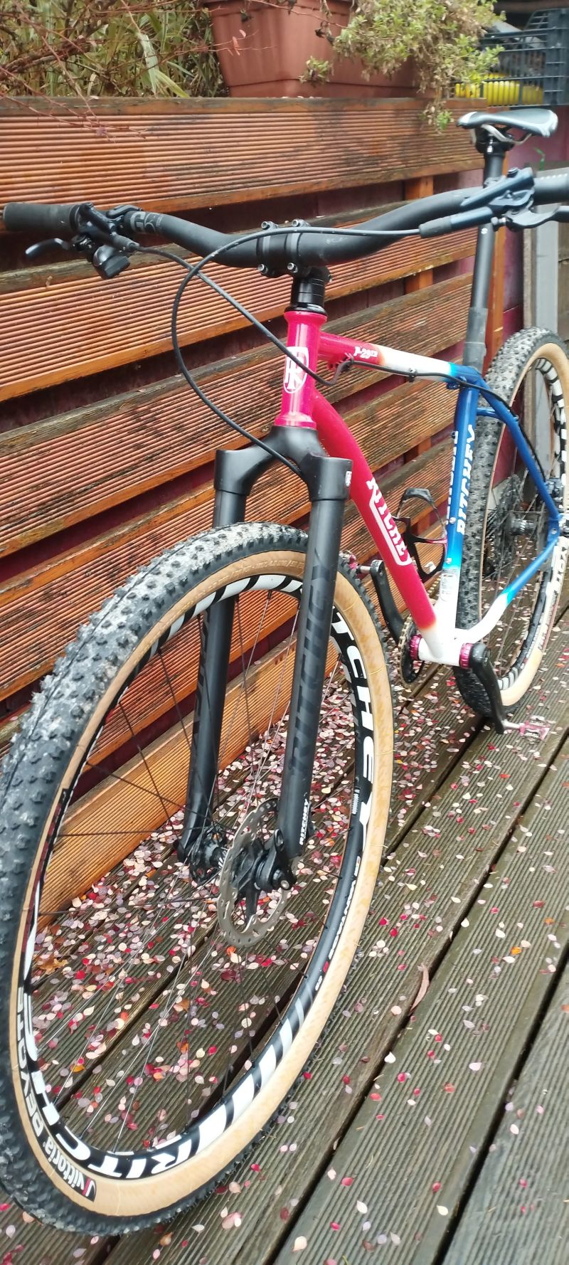Ritchey P29 Team edition