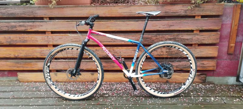 Ritchey P29 Team edition