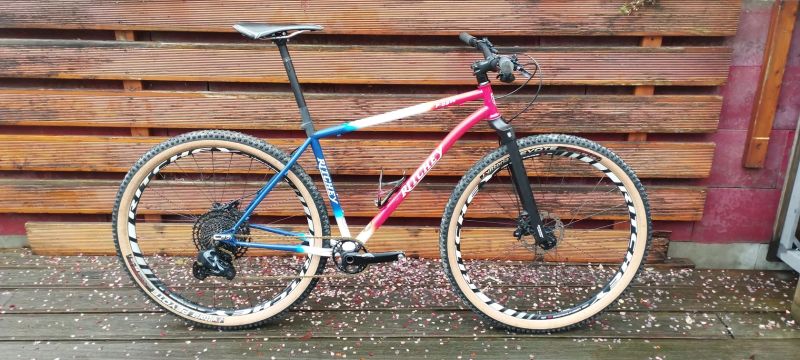 Ritchey P29 Team edition