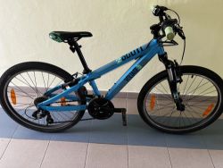 Scott Voltage Jr24