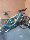 Duratec Torain
