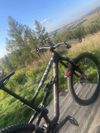 Specialized Status (enduro)
