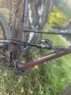 Specialized Status (enduro)