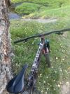 Specialized Status (enduro)