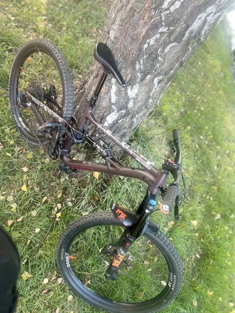 Specialized Status (enduro)