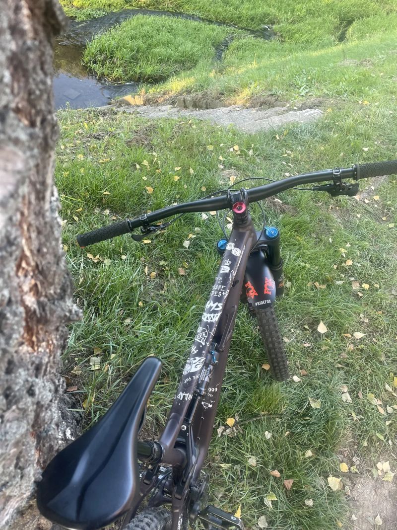 Specialized Status (enduro)