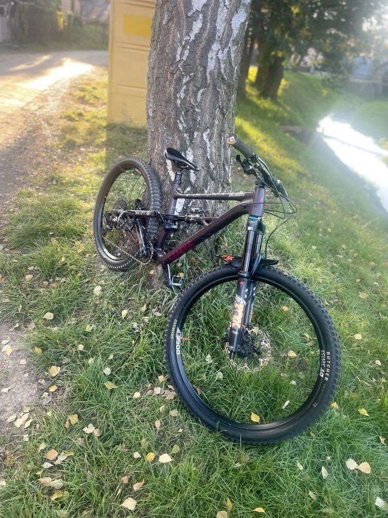 Specialized Status (enduro)