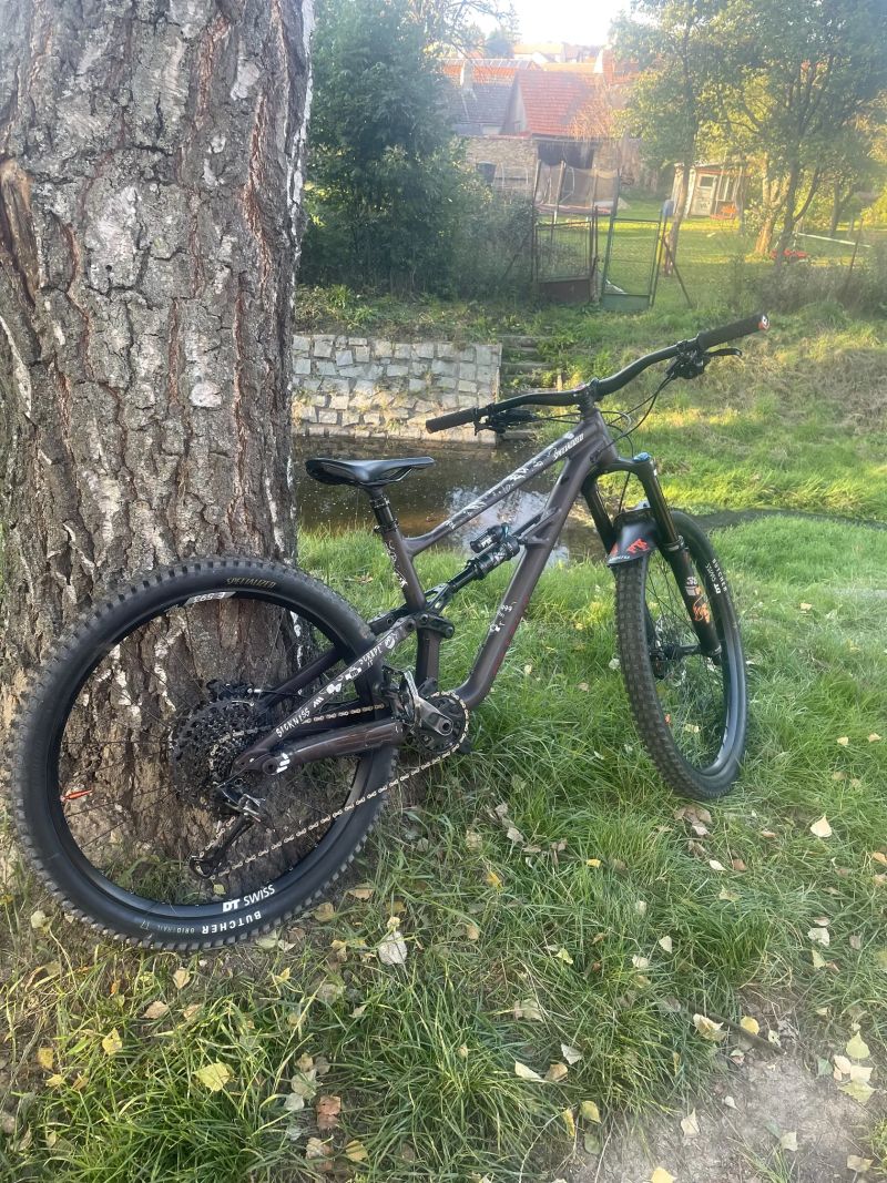 Specialized Status (enduro)