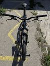 Kellys Whip 50