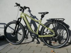 Leader Fox Saba Gent