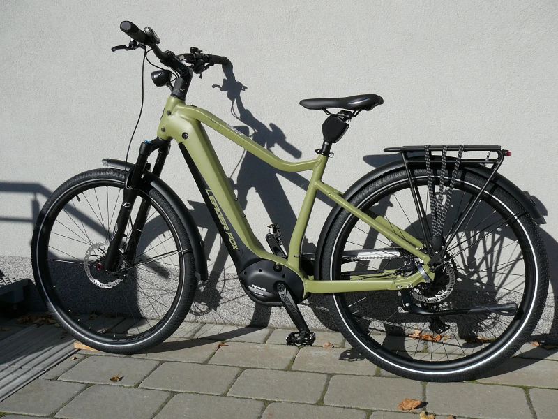 Leader Fox Saba Gent