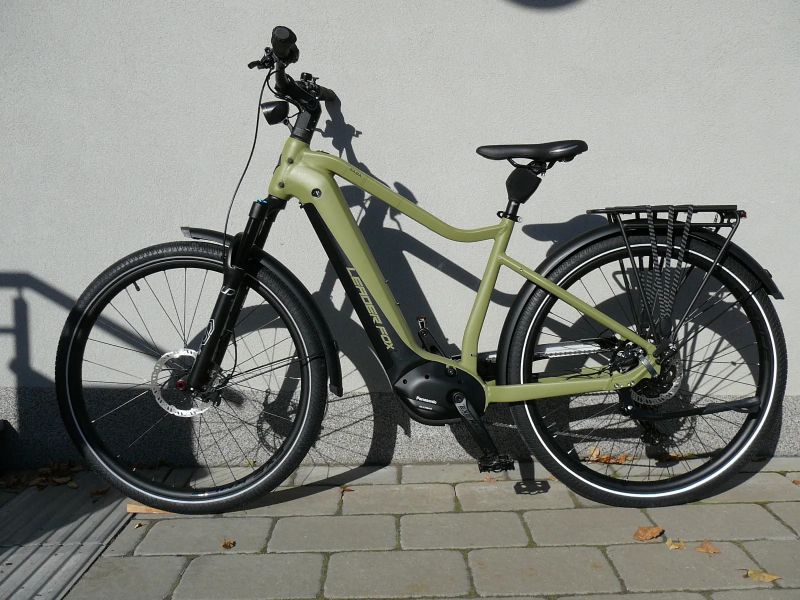 Leader Fox Saba Gent