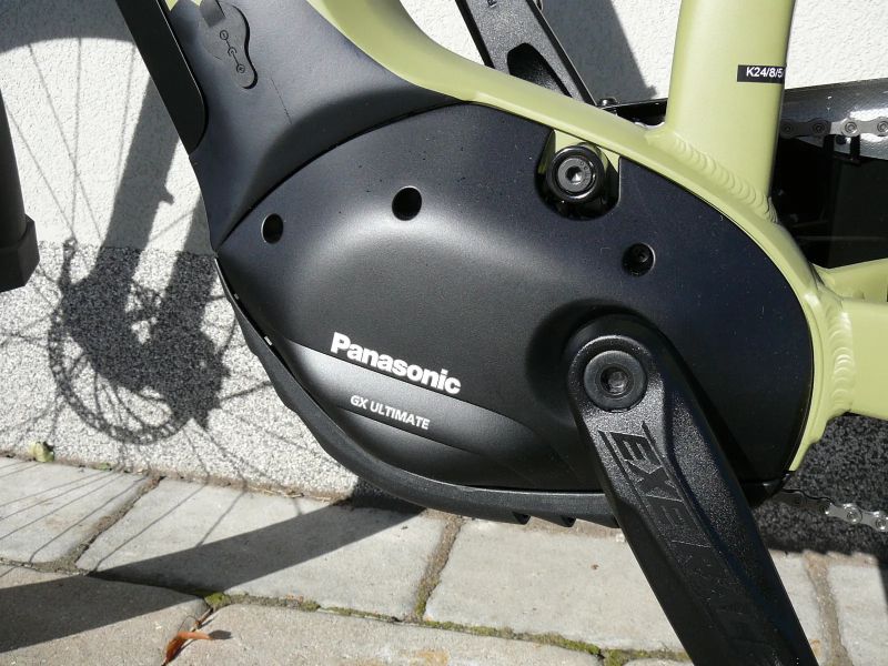 Leader Fox Saba Gent