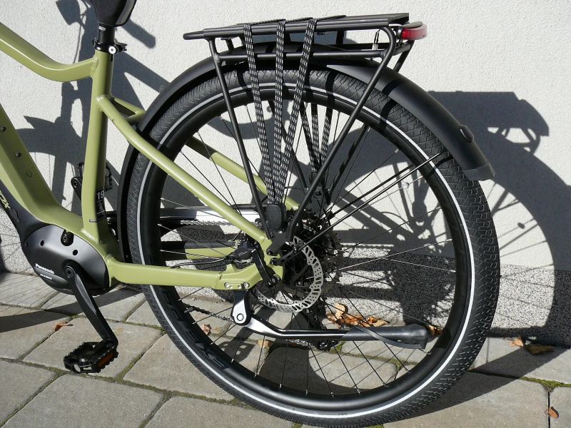 Leader Fox Saba Gent