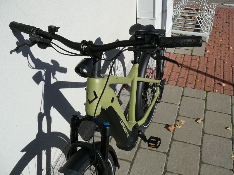 Leader Fox Saba Gent