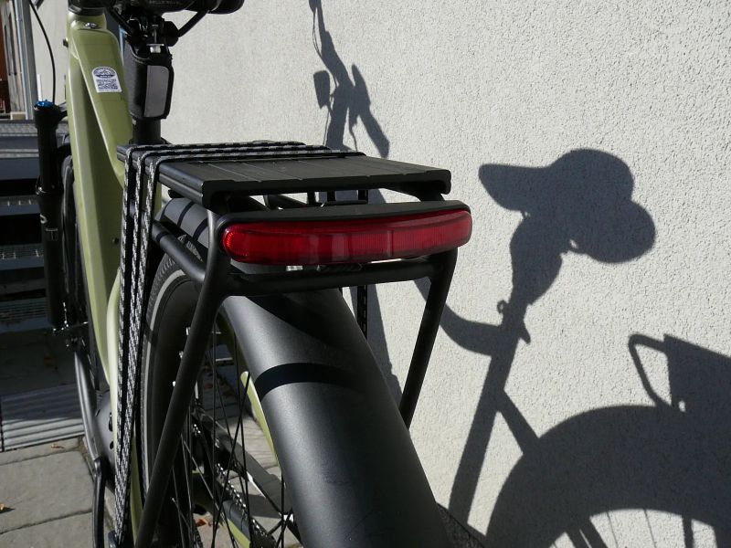 Leader Fox Saba Gent