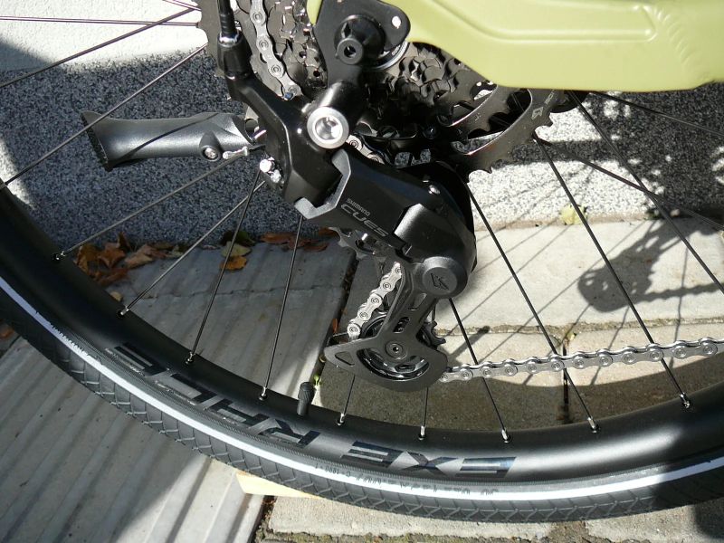 Leader Fox Saba Gent