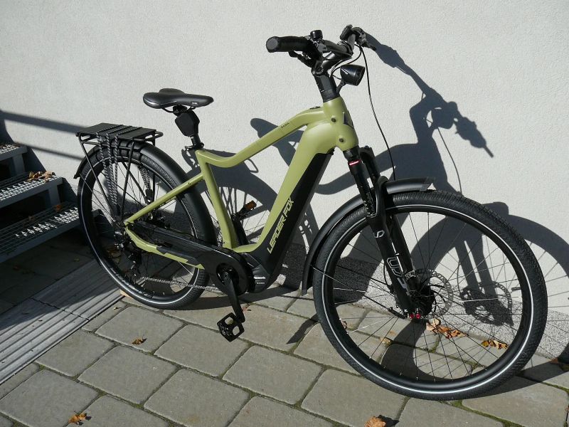 Leader Fox Saba Gent