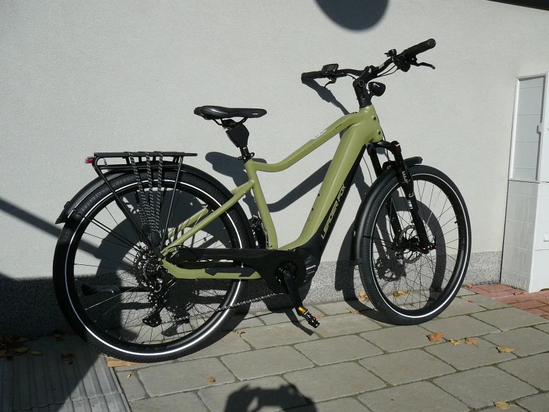 Leader Fox Saba Gent