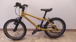 Rascal 16 Gold (zlatý)