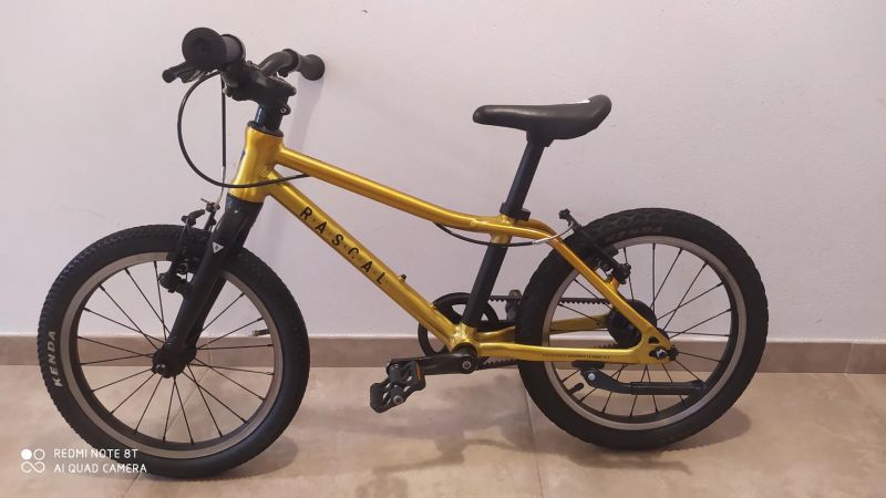 Rascal 16 Gold (zlatý)