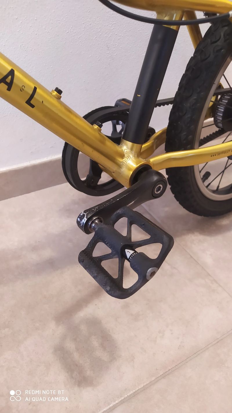 Rascal 16 Gold (zlatý)