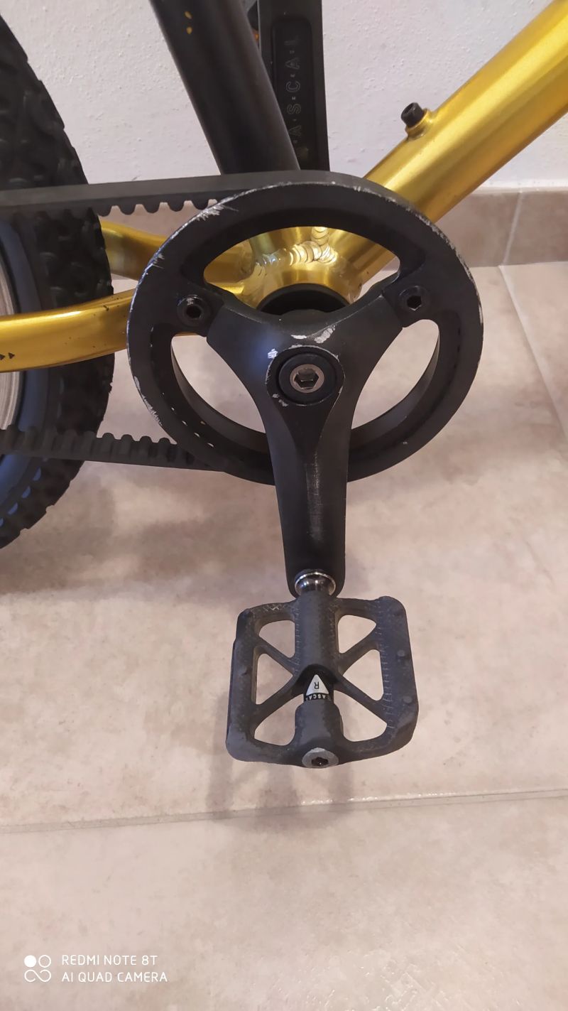 Rascal 16 Gold (zlatý)