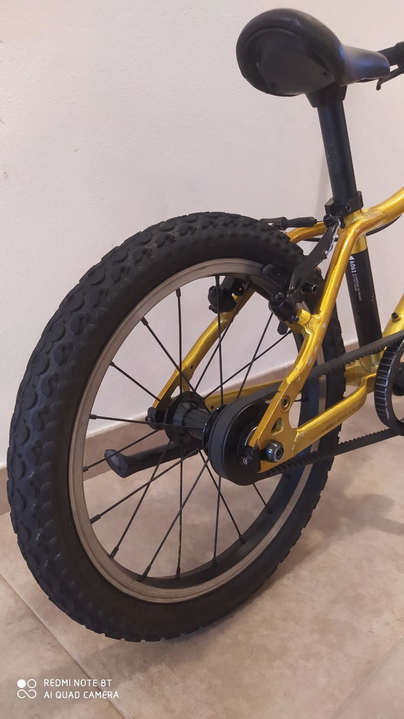 Rascal 16 Gold (zlatý)