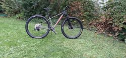 Orbea Alma m50