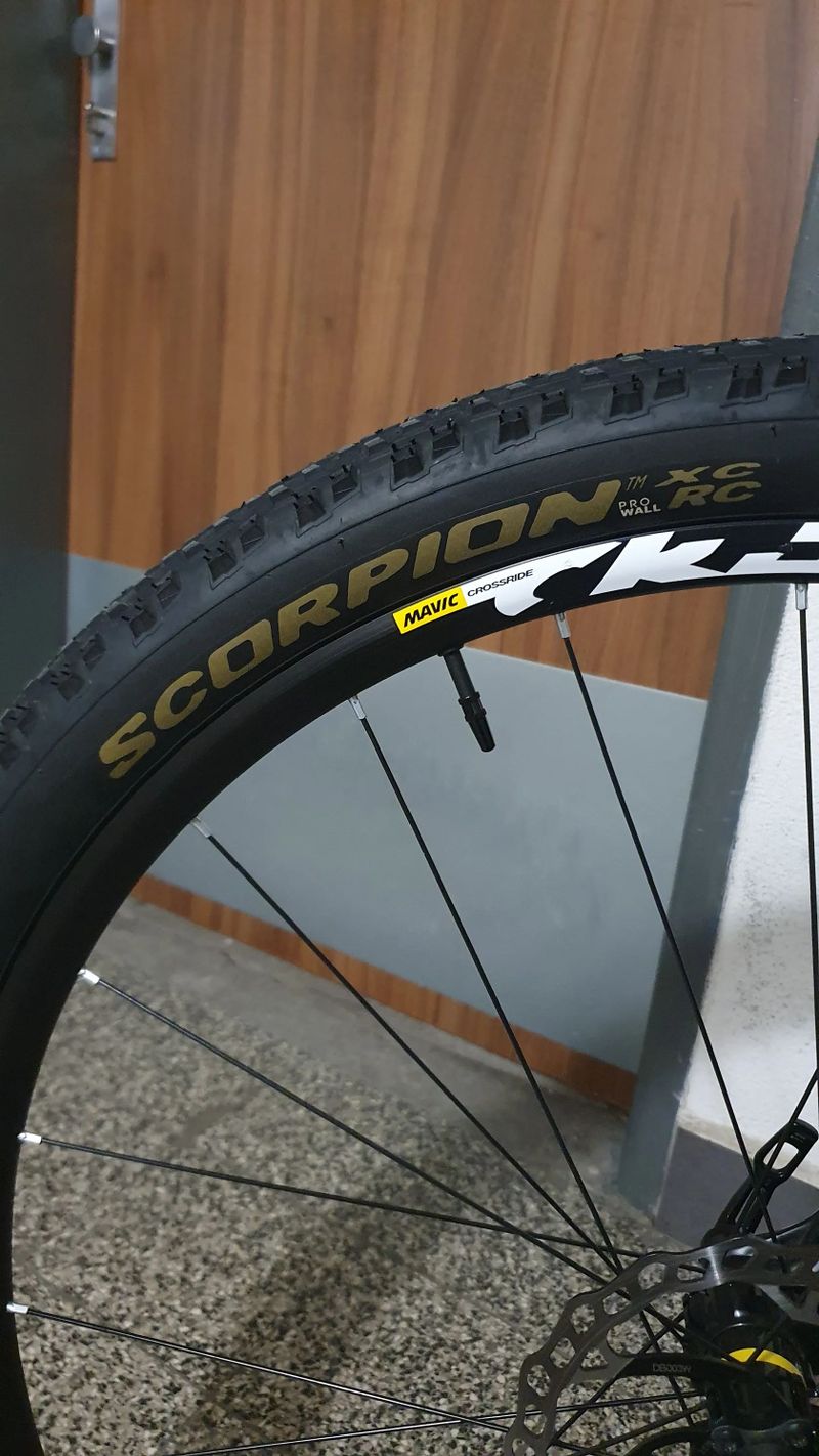 Canyon neuron AL 6.0 29