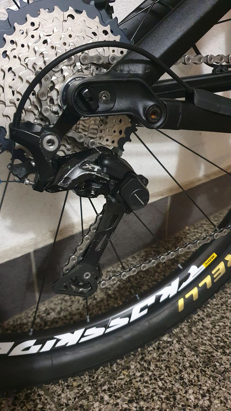 Canyon neuron AL 6.0 29