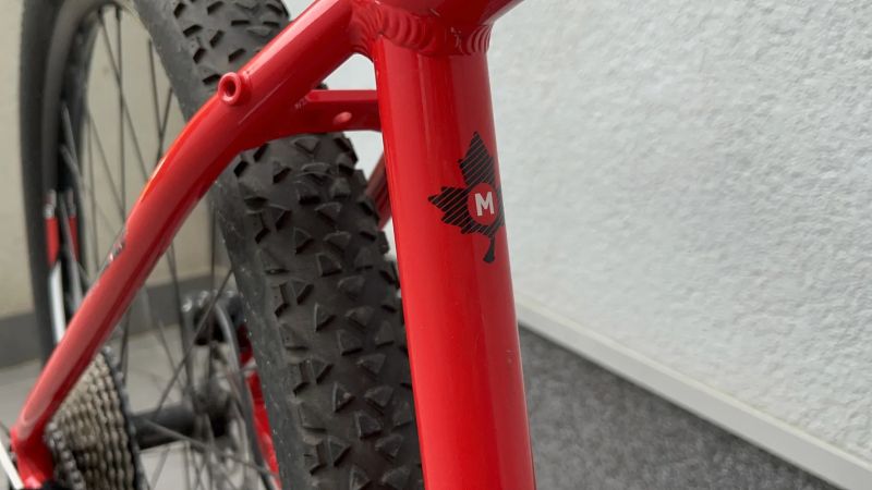 Horské kolo Focus Whistler 29 , M