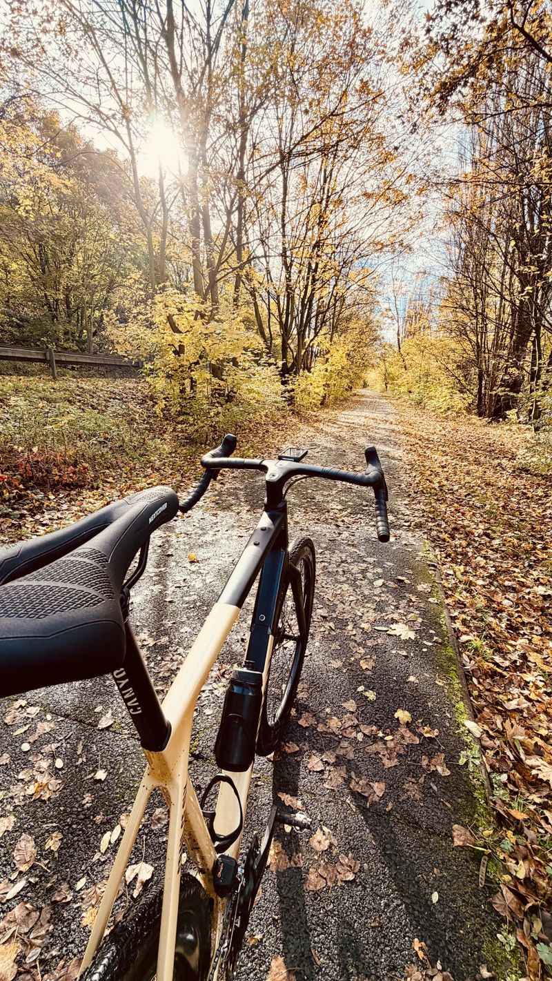 Canyon Grail CF SLX 8 Di2, Dt Swiss 1400, vel. XL, 300km najeto