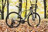 Cannondale Synapse, Sram Rival AXS 2x12, DT Swiss