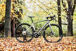 Cannondale Synapse, Sram Rival AXS 2x12, DT Swiss