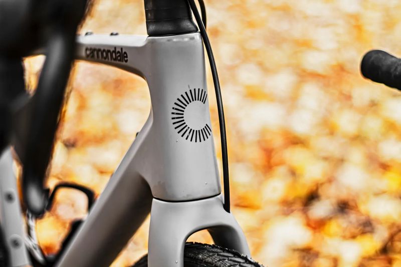 Cannondale Synapse, Sram Rival AXS 2x12, DT Swiss